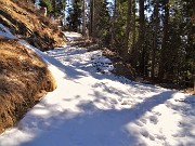 Sulle nevi del PASSO SAN MARCO e di CIMA VALLE ad anello il 9 marzo 2022 - FOTOGALLERY"